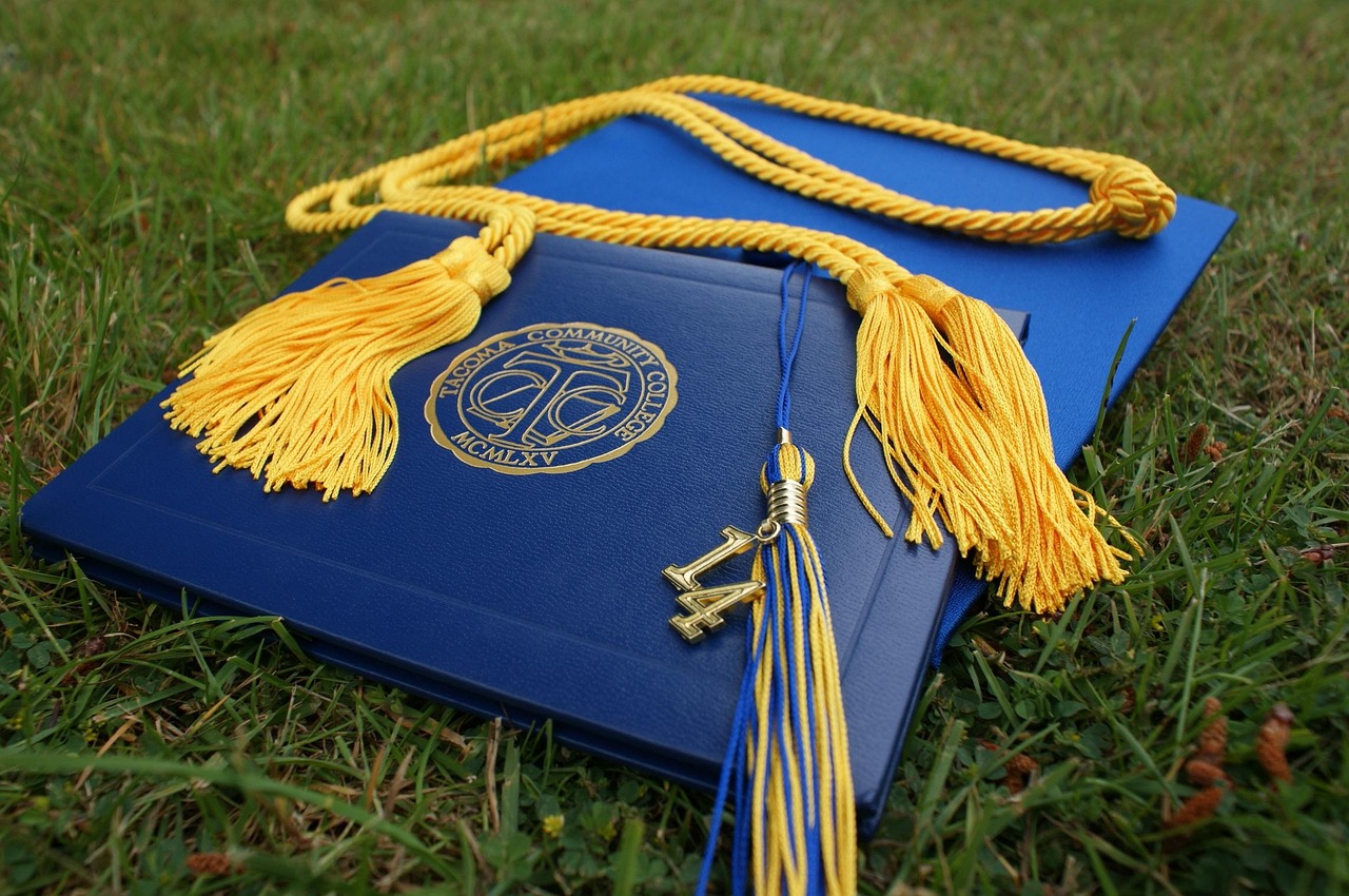 graduation, grads, cap, diploma, education, college, school, university, hat, graduation cap, achievement, graduate, academic, success, knowledge, ceremony, student, certificate, study, degree, class, 2014, graduation tassel, tassel, graduation, graduation, graduation, diploma, diploma, diploma, certificate, certificate, degree, degree, degree, degree, degree